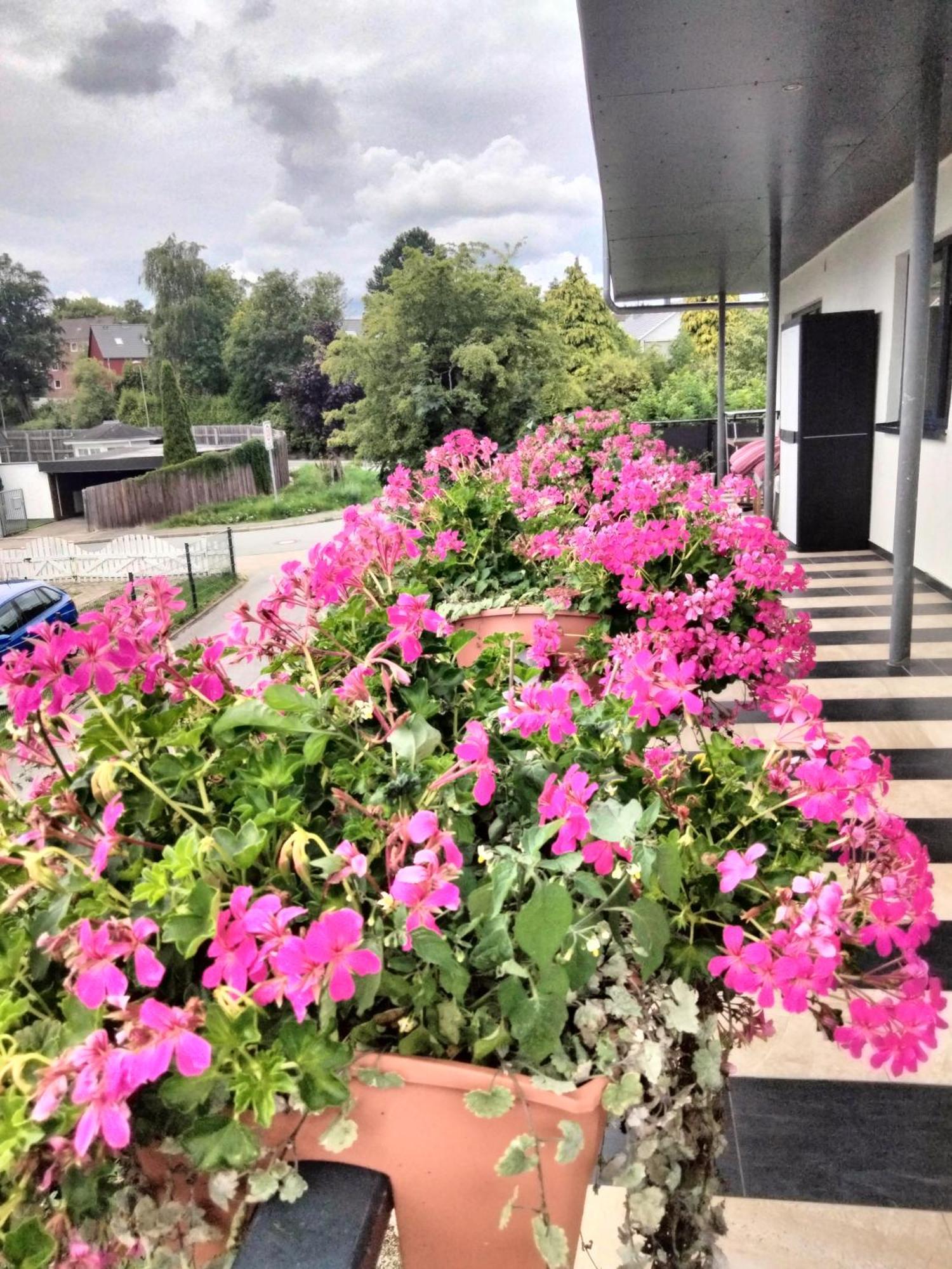 Komfort-Ferienwohnung Mit Ostseeblick ,Entspannung フレンスブルク エクステリア 写真